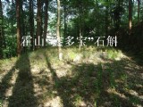 “鑫多宝”石斛基地